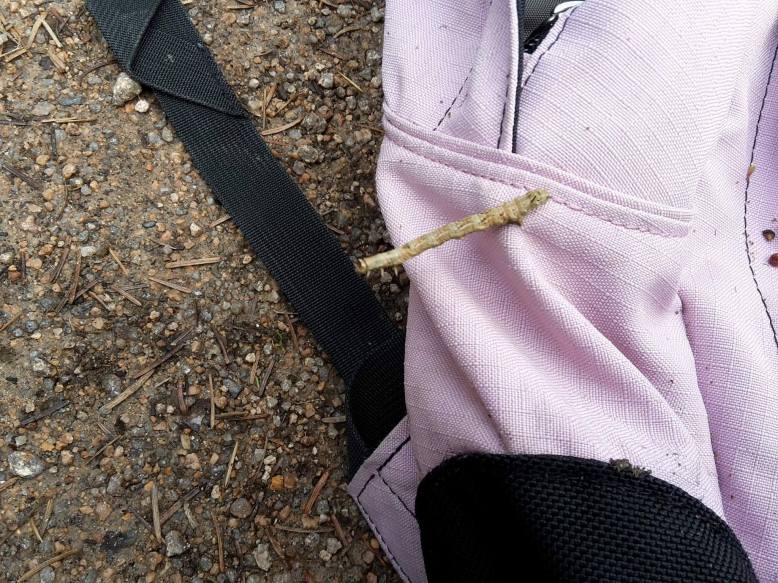 22015522_10155676697487673_891942955_o