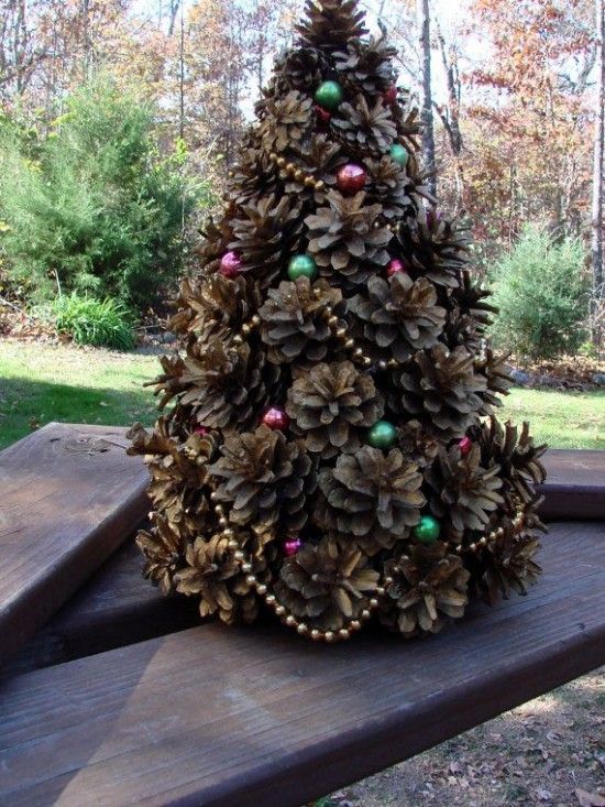 pine cone tree