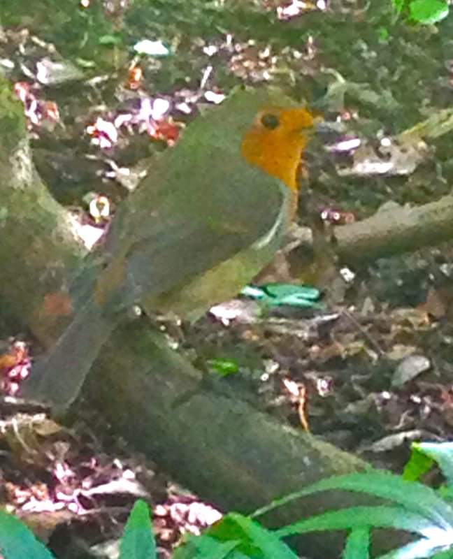 539e52be4dbebfa8b6fdac6bcad7a0ff.0