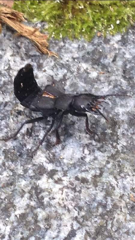 c52394a5eed8b6cbfb1b8f6eaddfc233.0