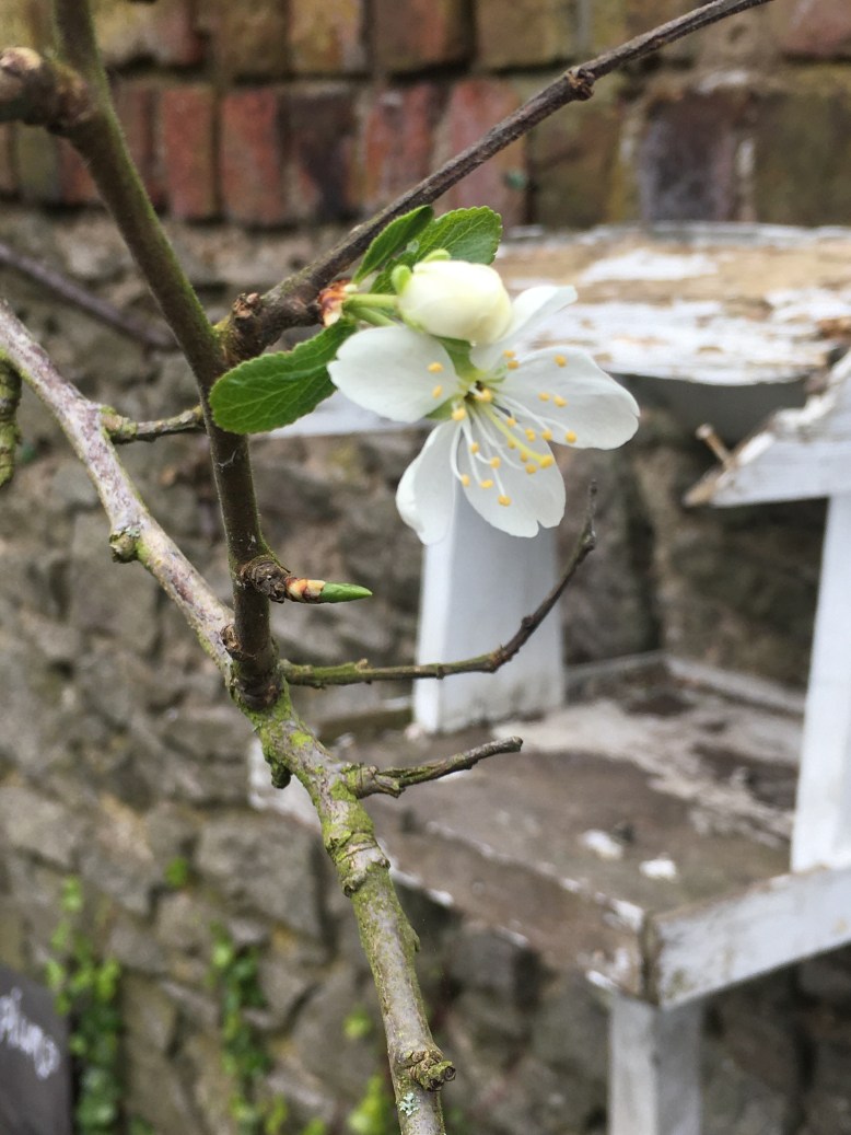 11EC2657-7BF7-475F-A757-141BC2448E5C