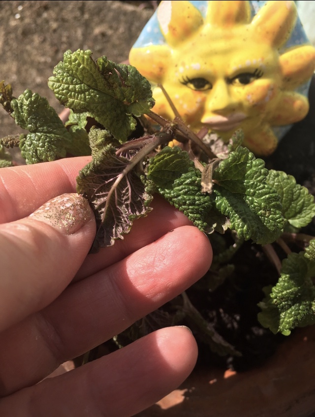 31DEFA5C-F7CD-4571-A59F-EC7F52680021